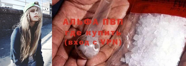 шишки Магас