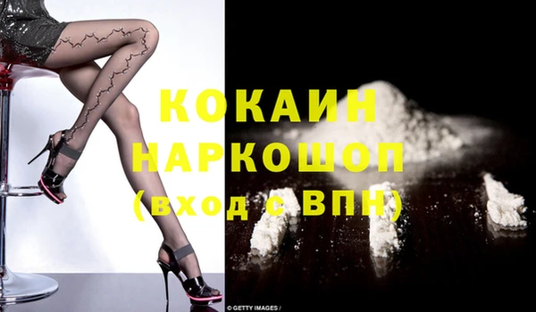 шишки Майский