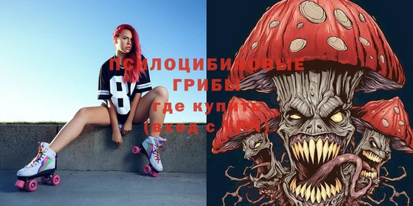 шишки Магас