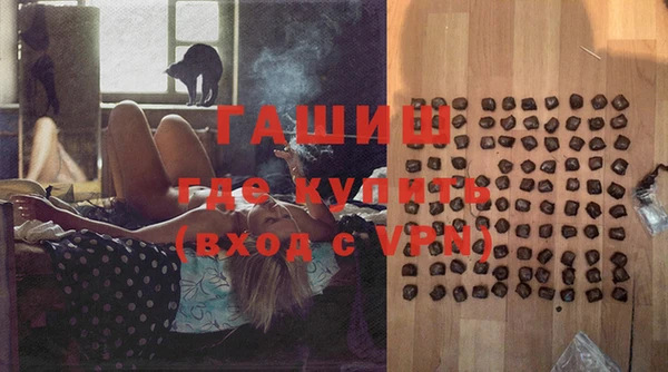 шишки Магас