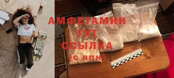 шишки Магас