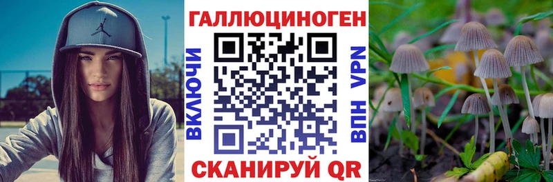 Псилоцибиновые грибы Psilocybine cubensis  Иноземцево 